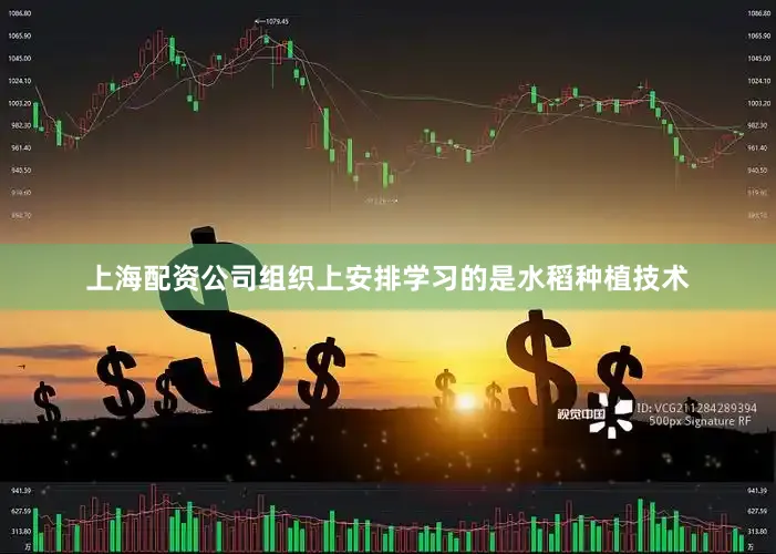 上海配资公司组织上安排学习的是水稻种植技术